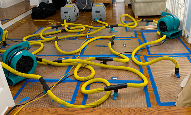 Professional Sewage Cleanup technician working in Tilleda, WI